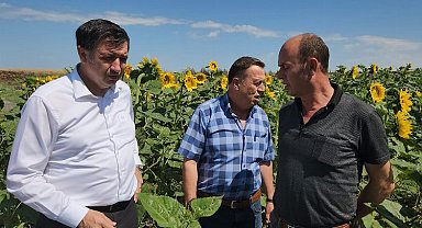 Gaytancıoğlu: Ayçiçeği taban fiyatı en az 20 TL olmalı