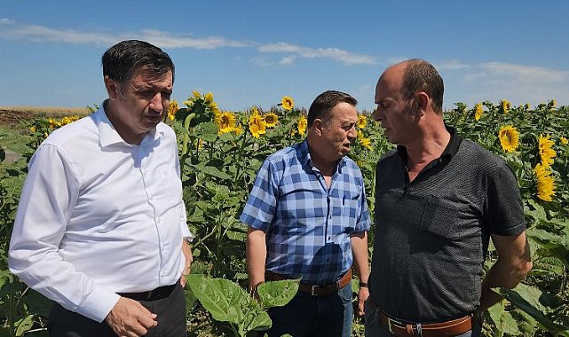 Gaytancıoğlu: Ayçiçeği taban fiyatı en az 20 TL olmalı