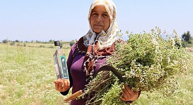 Kırsal turizmde kalkınmanın öncüsü olacaklar