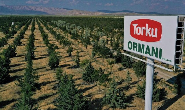 Konya Şeker'den 'ağaç' açıklaması