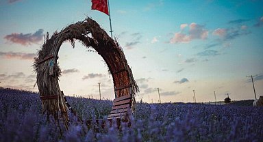 Lavanta ile beklenen buluşma: Üstelik ücretsiz