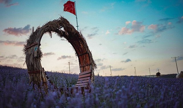 Lavanta ile beklenen buluşma: Üstelik ücretsiz