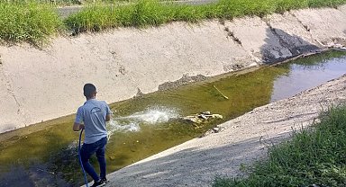 Manisa Salihli'de ilaçlamalar sürüyor