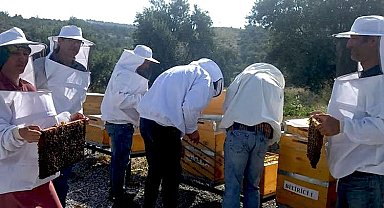 Manisa'da arıcılık eğitiminde yeni dönem