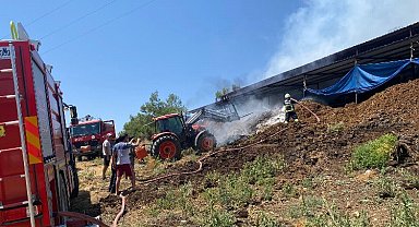 Muğla'da yangından etkilenen hayvanlara müdahale