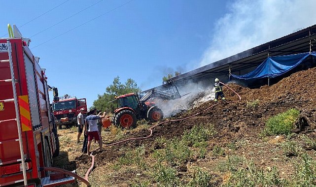 Muğla'da yangından etkilenen hayvanlara müdahale
