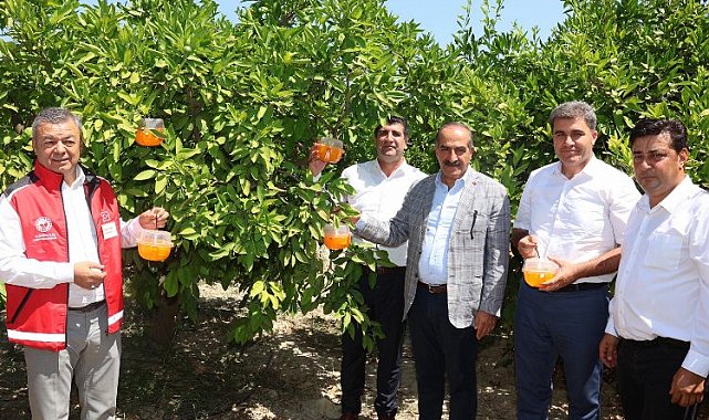 Narenciyede kalıntı sorunu kalmayacak