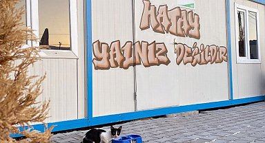 Uludağ Enerji sokak hayvanlarını afet bölgesinde de unutmadı