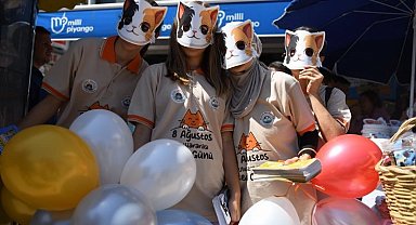 Uluslararası Kedi Günü'ne Keşan farkındalığı
