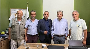 Ağaç katliamı TBMM de!