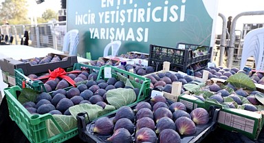 Akçalar-Fadıllı İncir Festivali üretici ile tüketiciyi buluşturdu