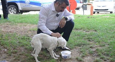 Bu Belediye Mama Üretiyor