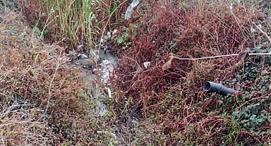 Bu rezalete kim dur diyecek?