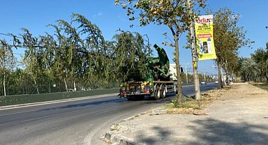 Bursa'da yeşil transferi sürüyor