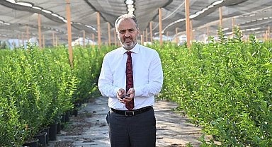 Bursa'nın yükselen değeri; tarım
