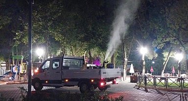 Büyükşehir'den haşereye geçit yok