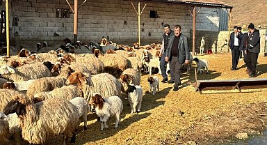 Depremden etkilenen yetiştiricilere 43 bin küçükbaş hayvan