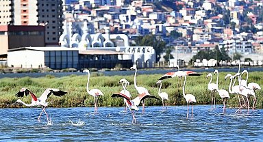 Doğaseverler İzmir'de bu festivali bekliyor