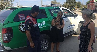 Erikli'de jandarmadan evcil hayvanlara yönelik faaliyet