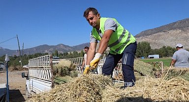 Eskişehir'de üreticilere yonca desteği