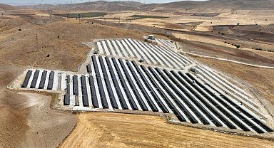 GES paneller 170 bin ağacın kesilmesini önledi!