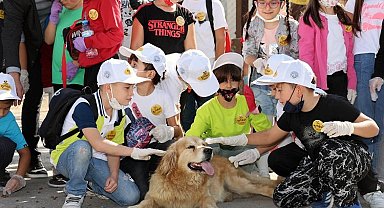 Kayseri Talas'tan can dostlara Pati Evi