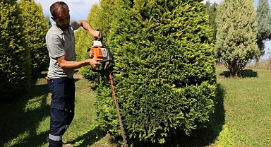 Kocaeli'de park ve bahçelerde sonbahar budaması