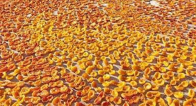 Kuru meyve sektörüne 3 güçlü pazar