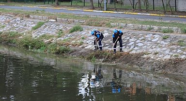 Sakarya Çark Deresi'nde rutin temizlik