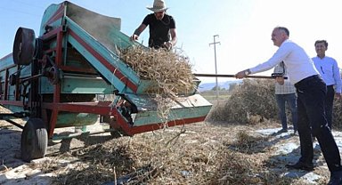 Tarladan sofraya... Cerrah Kuru Fasulyesi'nde hasat başladı