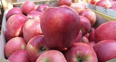 Üretici ile market farkı büyük... En fazla fiyat farkı elmada!