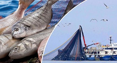 Yasa dışı avcılığa eş zamanlı çapraz denetim