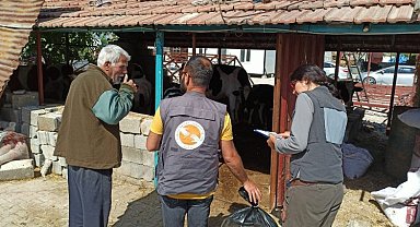 Afet bölgesinde yem ihtiyacı artıyor