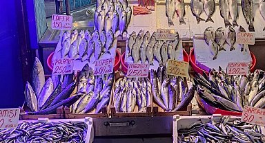 Balığa kota geliyor! Fiyatlar dengelenecek