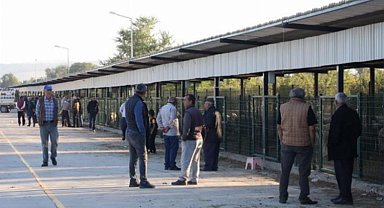 Bursa İnegöl'de hayvan pazarı geçici süreliğine kapalı