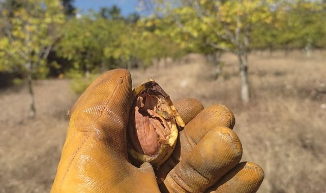 MESS'ten metal işçisine destek için avans ödemesi