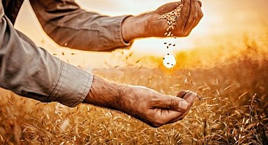 BUSİAD'dan gıda günü mesajı: Tarım politikaları yeniden belirlenmeli