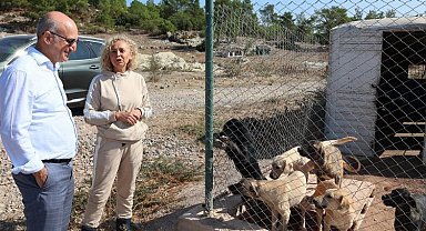 Egeli ihracatçılardan barınak hayvanlarına mama yardımı