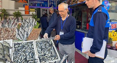 Gebze'de balıkçılara Zabıta denetimi