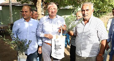 Hatay'da 50 bin çiftçiye meyve fidesi