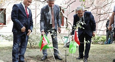 İsviçre'nin fidanı Ankara'da yeşerecek