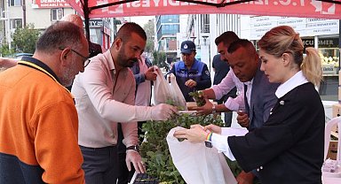 İzmit, hibe karalahana fidelerini üreticilerle buluşturdu