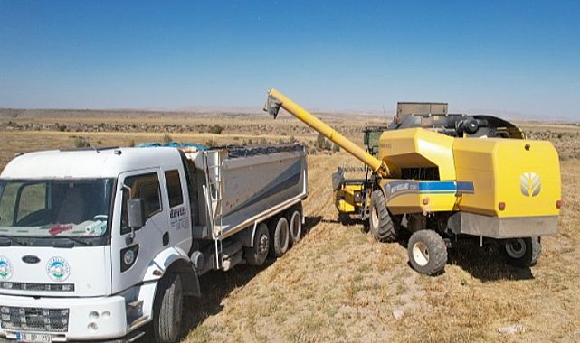 Kayseri Talas'ta aspir mesaisi başladı