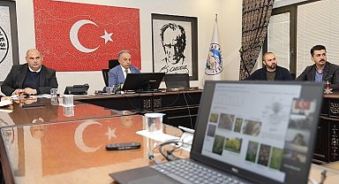 Kayseri Talas'ta Karbon Yutak Alanı olacak