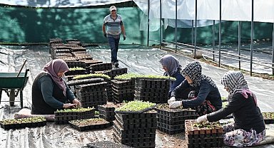 Kelesli çiftçiler üretiyor, Bursa kazanıyor