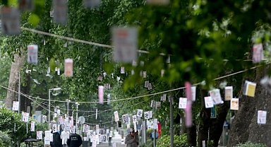 Kocaeli'de 5 bin kitap ağaçtan toplanacak