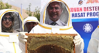 Konya Selçuklu'da arılı kovan desteği