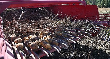 Konya Selçuklu'dan tarımsal üretime katkıya devam