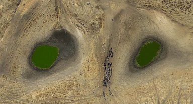 Küresel İklim Değişikliği'ni en iyi yansıtan kareler belli oldu