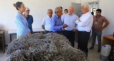Muğla'da 'tarımsal güçbirliği' üreticiye kazandırıyor